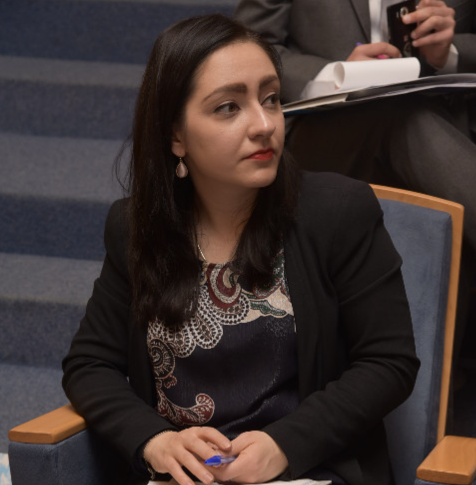 Lorena Diana Gatea (speaker)